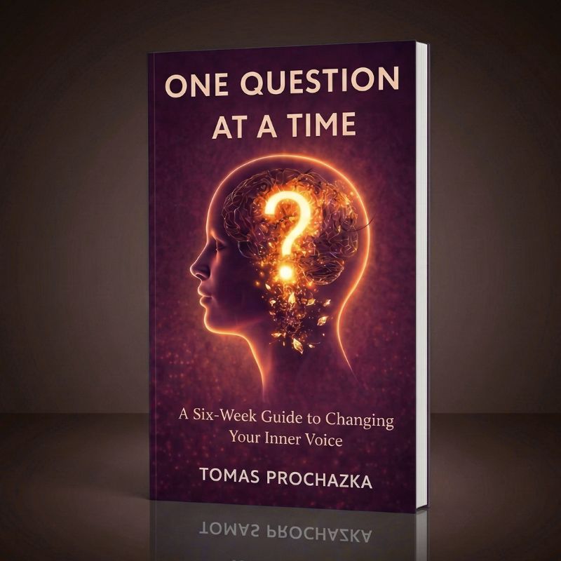 one questiin at a time book
